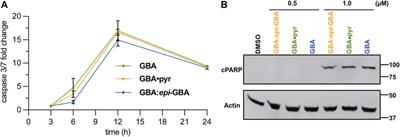 Gambogic acid: Multi-gram scale isolation, stereochemical erosion toward epi-gambogic acid and biological profile